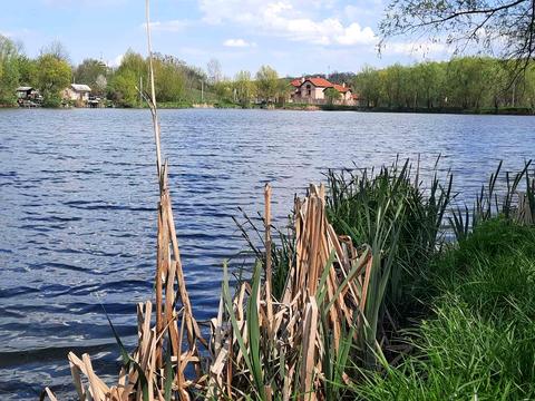 ділянка за адресою с. Іванковичі, Окружна