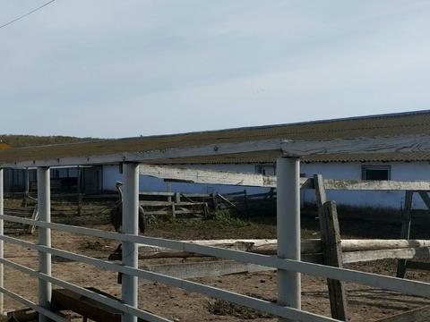 коммерческая по адресу Белгород-Днестровский, Белгород ул., 1
