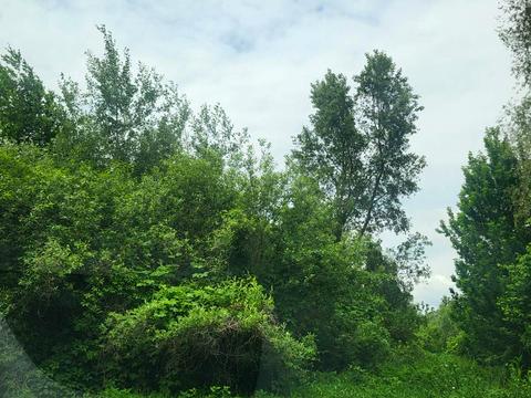 ділянка за адресою Наталії Кобринської вул.