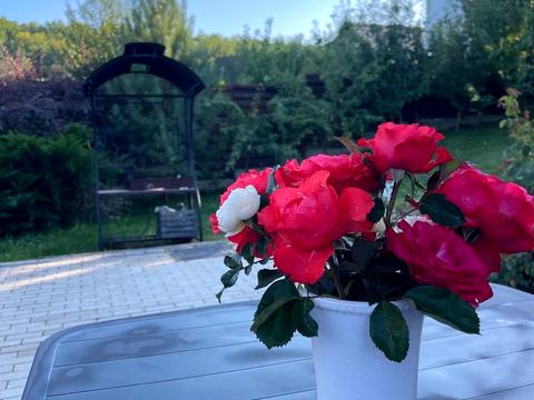 дом по адресу вулиця Будівельна, 23