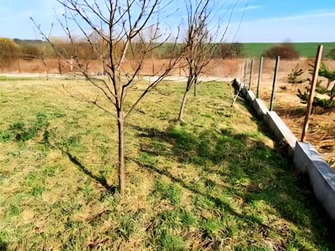 дом по адресу Степана Бандери