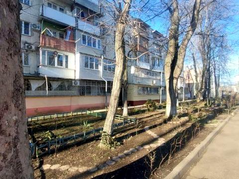 квартира за адресою комарова, 3