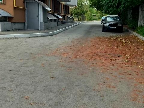 ділянка за адресою Вишнева вул.