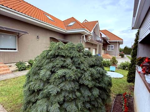 дом по адресу Августина Волошина ул.