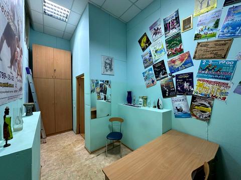 комерційна за адресою Сергія Подолинського вул. (Благоєва), 31г