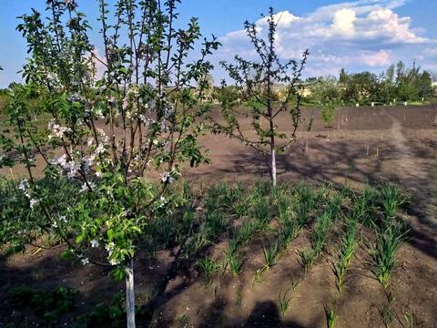 будинок за адресою Незалежності вул. (Леніна)
