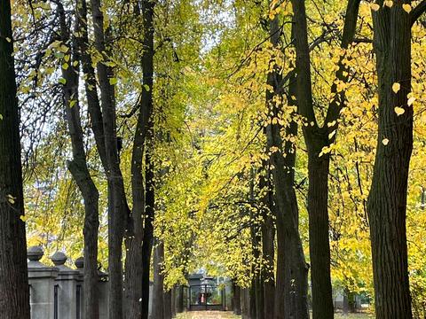 комерційна за адресою Липська вул., 19/7