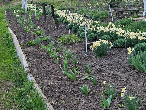 будинок за адресою СТ Ягідка, 39А