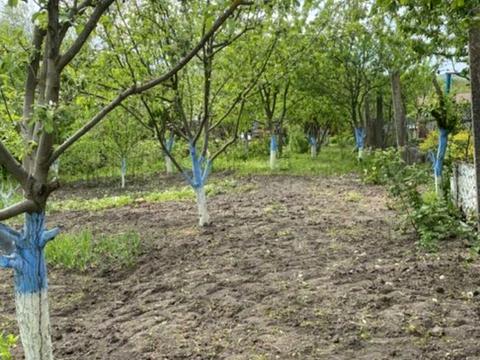 будинок за адресою Проїзд Гостиний