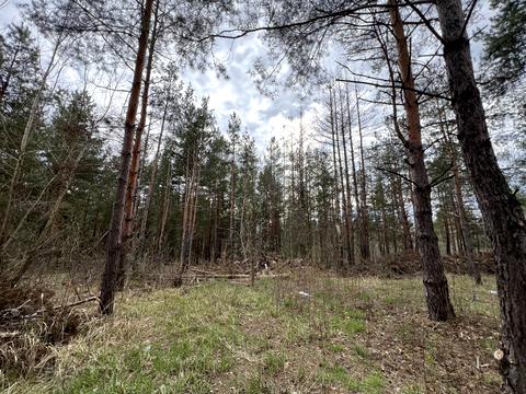 дом по адресу с. Забучье, Тиха