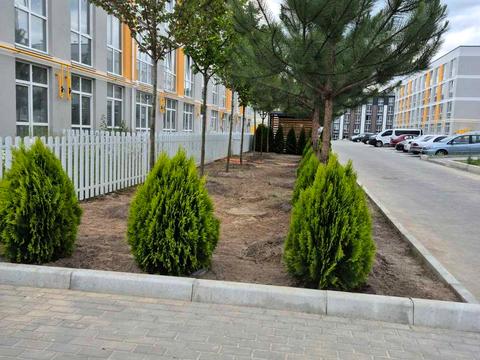 квартира за адресою Богдана Хмельницького вул., 23
