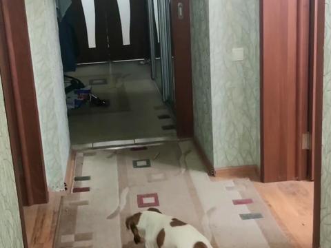 дом по адресу Робеспьера ул.
