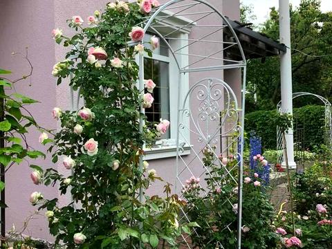 дом по адресу Чаплинская ул.