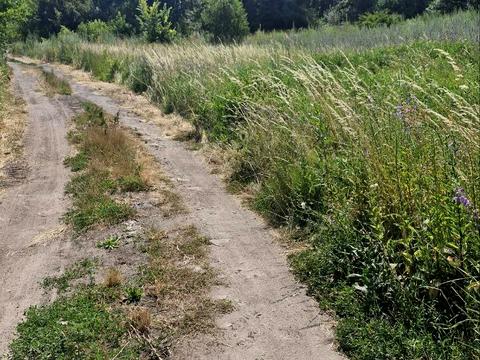 участок по адресу Землевпорядна