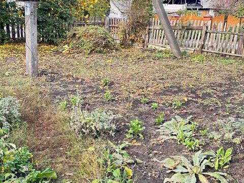 будинок за адресою смт. Рокитне, Червона Січ