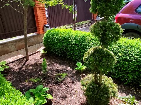 будинок за адресою Олександрівська