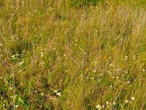 ділянка за адресою проїзд 7 Андрійовський