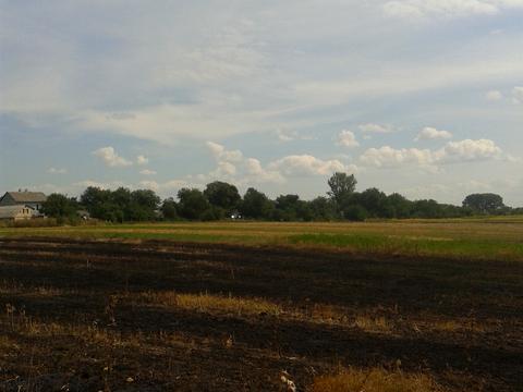 ділянка за адресою Вереснева, 3