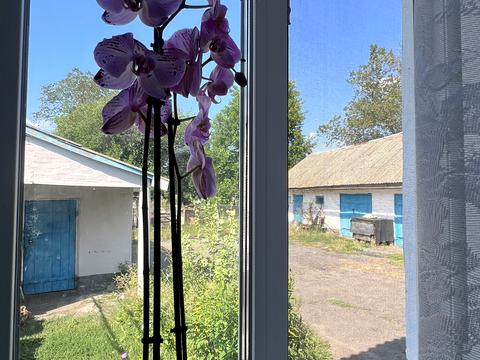 дом по адресу Гагарина