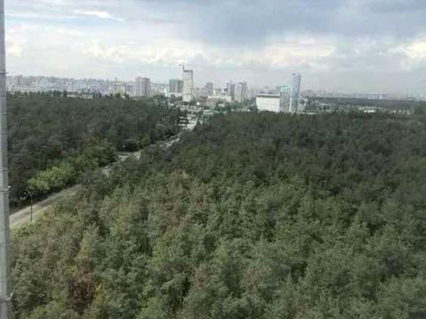 квартира за адресою Світла вул., 3д