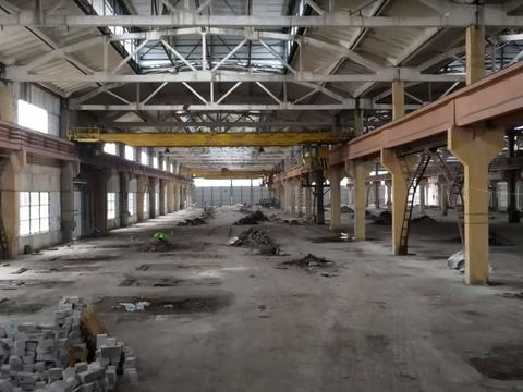 комерційна за адресою Поліграфічна, 1