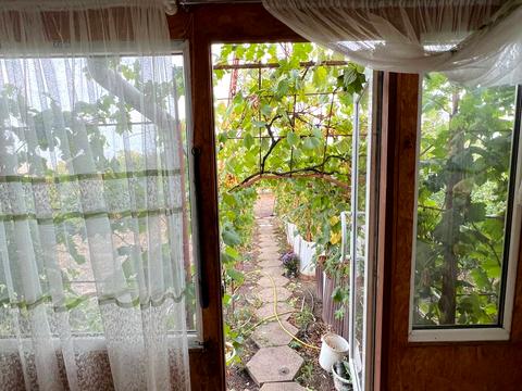 дом по адресу будущего