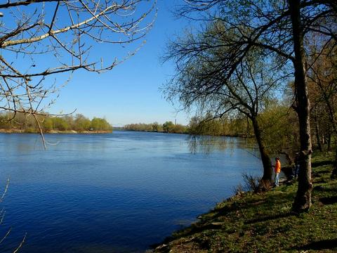 ділянка за адресою с. Осещина, Трояндова