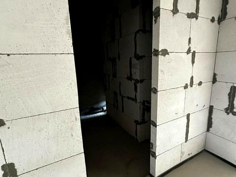 квартира по адресу Жаботинского ул. (Пролетарская улица), 54а