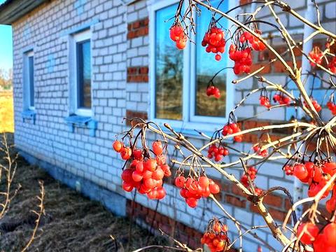 будинок за адресою Лесі українки