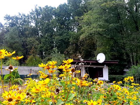 будинок за адресою Східна