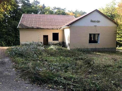 ділянка за адресою Красилів, Лісова, 1