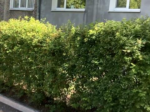 квартира по адресу Максима Чиженко ул., 92