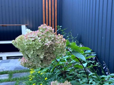 будинок за адресою 2-й Український пров.