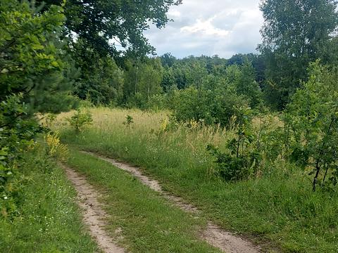 участок по адресу 