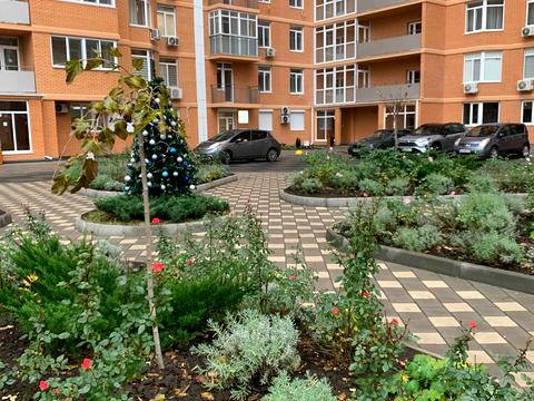 квартира за адресою Люстдорфська дорога вул., 55/6