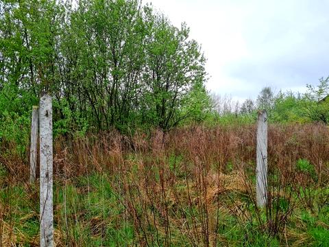 ділянка за адресою с. Пасіки-Зубрицькі, 