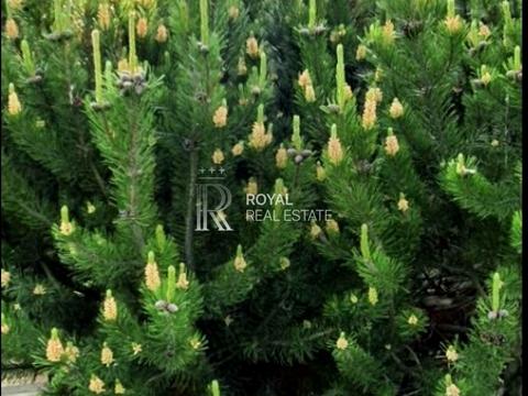 будинок за адресою Центральна