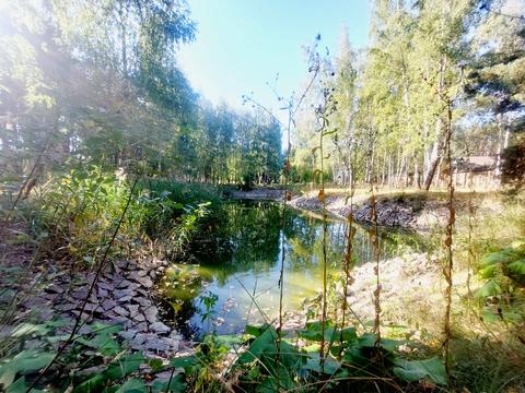 будинок за адресою с. Колонщина, Новомар'янівська, 5А