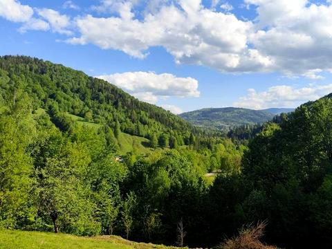 ділянка за адресою с. Прокурава, 