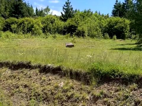 ділянка за адресою Лесі Українки