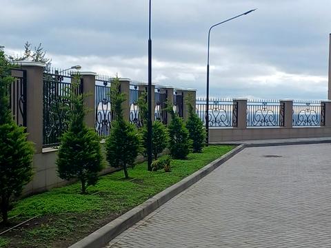квартира по адресу Дача Ковалевского ул., 91