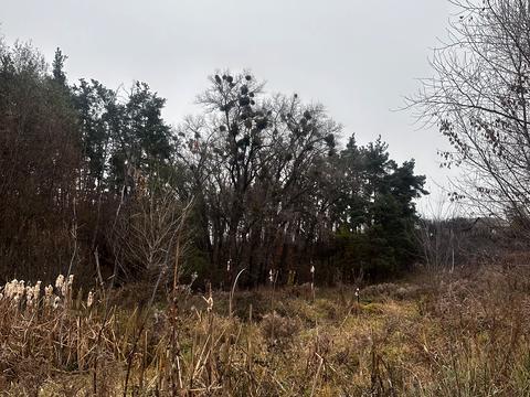 ділянка за адресою Підлісна