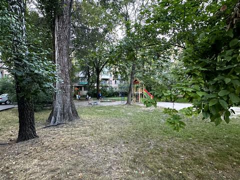 квартира по адресу Салютная ул., 20а