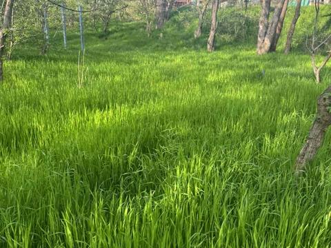 будинок за адресою Аврори, 10