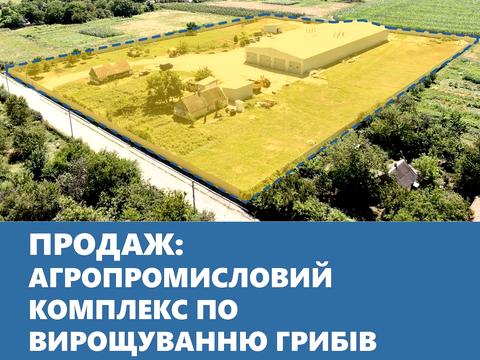 комерційна за адресою Шевченка, 8