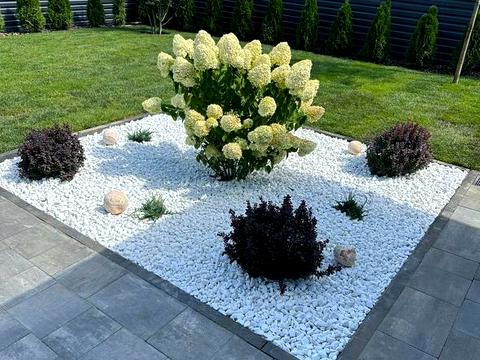 будинок за адресою Миру