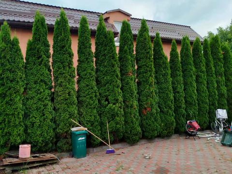 квартира за адресою с. Софіївська борщагівка, Травнева вул., 39