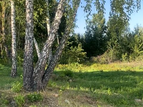 дом по адресу Балістична