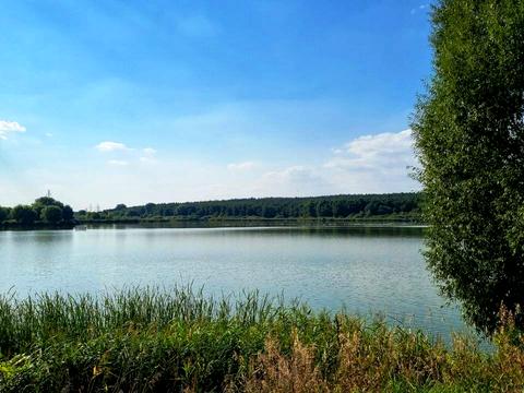 участок по адресу Леси Украинки ул., 24