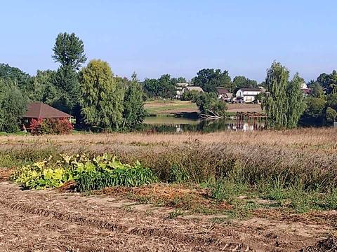 ділянка за адресою с. Микуличі, Яковенка